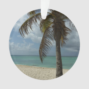 Aruban Beach I Beautiful Nature Szene Ornament