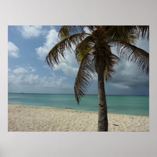 Aruban Beach I Beautiful Nature Szene Poster (Vorne)