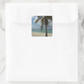 Aruban Beach I Beautiful Nature Szene Quadratischer Aufkleber (Tasche)
