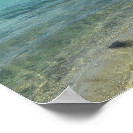 Aruban Beach Poster (Ecke)