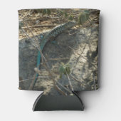 Aruban Whiptail Lizard Tropische Tierfotografie Dosenkühler (Vorderseite)