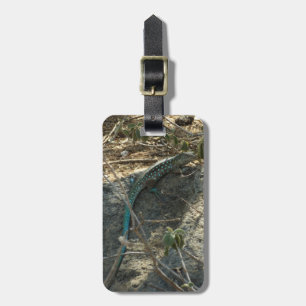 Aruban Whiptail Lizard Tropische Tierfotografie Gepäckanhänger