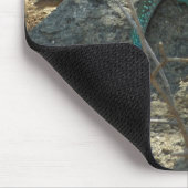 Aruban Whiptail Lizard Tropische Tierfotografie Mousepad (Ecke)