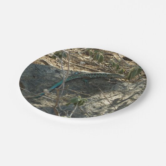 Aruban Whiptail Lizard Tropische Tierfotografie Pappteller (Schrägansicht)