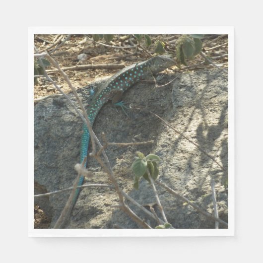 Aruban Whiptail Lizard Tropische Tierfotografie Serviette (Vorderseite)