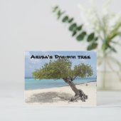 Arubas Divi-Divi-Baum-Postkarte Postkarte (Stehend Vorderseite)
