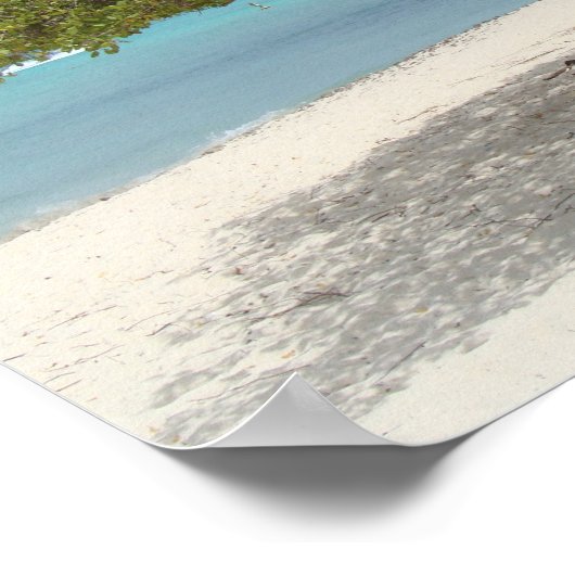 Arubas Divi-divi-Baumposter Poster (Ecke)