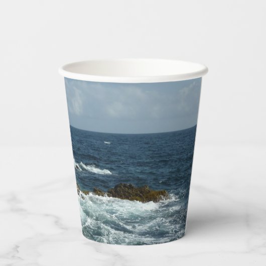 Arubas felsige Küste Pappbecher (Rückseite)