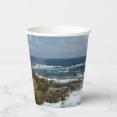 Arubas felsige Küste Pappbecher (Vorderseite)