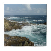 Arubas Felsküste und blauer Ozean Fliese (Vorderseite)