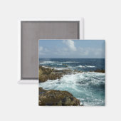 Arubas Felsküste und blauer Ozean Magnet (Vorderseite/Rückseite)