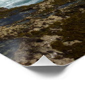 Arubas Felsküste und blauer Ozean Poster (Ecke)