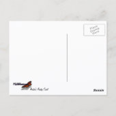 Arubas Felsküste und blauer Ozean Postkarte (Rückseite)