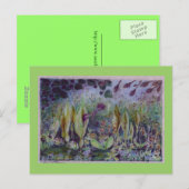 Arum elve postkarte (Vorne/Hinten)