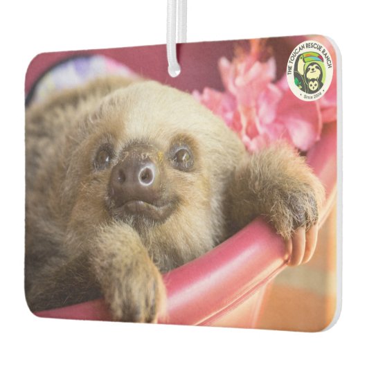 Arya, die zweiflügelige Fliege Autolufterfrischer (Links)