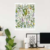Arzneimittel Pflanze und Blume durch Adolphe Millo Poster (Heimbüro)