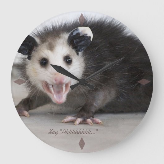 Ärztebüro lustige Opossum-Foto-Wanduhr Große Wanduhr (Vorderseite)