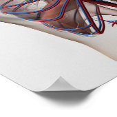 Ärztliche Darstellung der männlichen Brust Poster (Ecke)