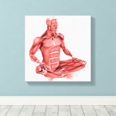 Ärztliche Darstellung männlicher Muskeln Leinwanddruck (Insitu (Holzboden))