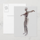 Ärztliche Darstellung weiblicher Arterien, Venen Postkarte (Vorne/Hinten)