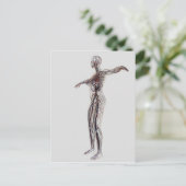 Ärztliche Darstellung weiblicher Arterien, Venen Postkarte (Stehend Vorderseite)