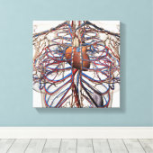 Ärztliche Darstellung weiblicher Brustkunst Leinwanddruck (Insitu (Holzboden))