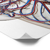 Ärztliche Darstellung weiblicher Brustkunst Poster (Ecke)