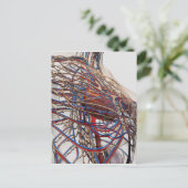 Ärztliche Darstellung weiblicher Brustkunst Postkarte (Stehend Vorderseite)