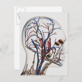 Ärztliche Veranschaulichung der Kopfschmerzen 1 Postkarte (Vorne/Hinten)