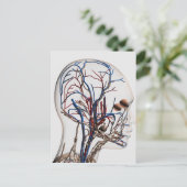 Ärztliche Veranschaulichung der Kopfschmerzen 1 Postkarte (Stehend Vorderseite)