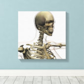 Ärztliche Veranschaulichung des Schädels einer Fra Leinwanddruck (Insitu (Holzboden))