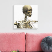 Ärztliche Veranschaulichung des Schädels einer Fra Leinwanddruck (Insitu (Wohnzimmer))