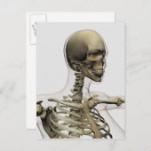 Ärztliche Veranschaulichung des Schädels einer Fra Postkarte (Vorne/Hinten)