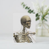 Ärztliche Veranschaulichung des Schädels einer Fra Postkarte (Stehend Vorderseite)