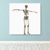 Ärztliche Veranschaulichung des weiblichen Skelett Leinwanddruck (Insitu (Holzboden))