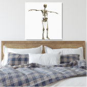 Ärztliche Veranschaulichung des weiblichen Skelett Leinwanddruck (Insitu (Schlafzimmer))