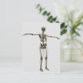 Ärztliche Veranschaulichung des weiblichen Skelett Postkarte (Stehend Vorderseite)