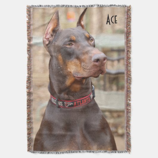 As Decke (Vorderseite Vertikal)