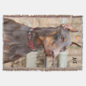 As Decke (Vorderseite)