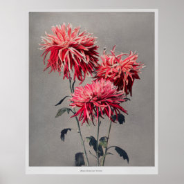 Asa-dsuma-bune von Kazumasa Ogawa (1896) Poster