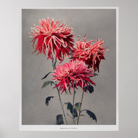 Asa-dsuma-bune von Kazumasa Ogawa (1896) Poster (Vorne)