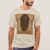 Asaphiscus Fossil Trilobit T-Shirt (Vorderseite)