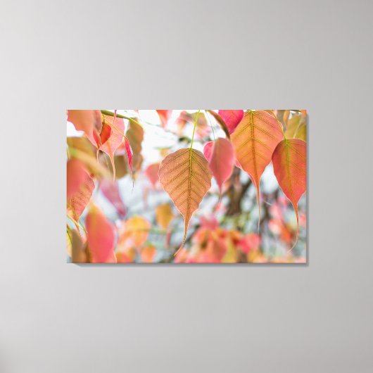 Asathu Pflanze Baby Blätter Laden Buddha Leinwanddruck (Vorderseite)