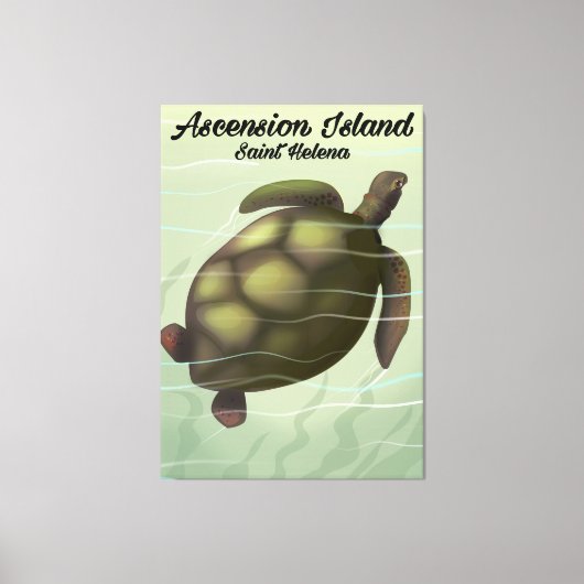 Asceninsee Schildkröte Leinwanddruck (Vorderseite)