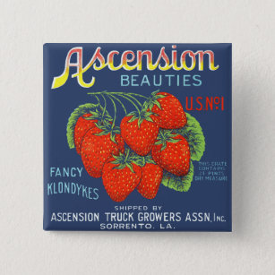 Ascension Beauties Extravagant Klondykes Erdbeeren Button