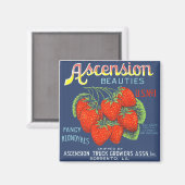 Ascension Beauties Strawberries Magnet (Vorderseite/Rückseite)
