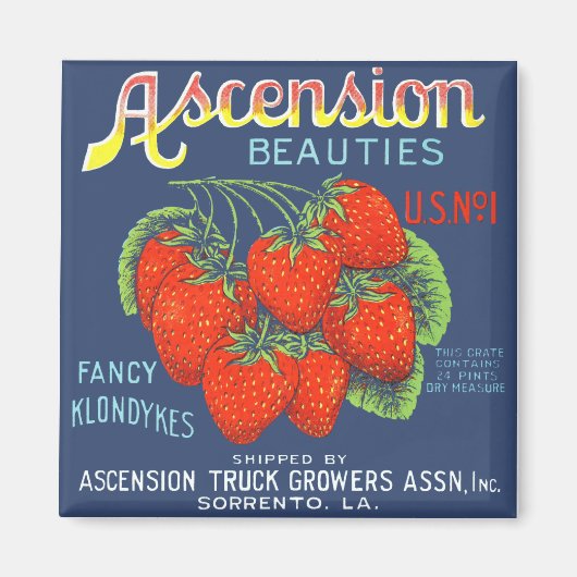 Ascension Beauties Strawberries Magnet (Vorne)