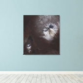 Asche färbt sich auf Russlands Shiveluch-Vulkanà  Leinwanddruck (Insitu (Holzboden))