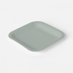 Asche grau (Vollfarbe) Pappteller