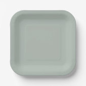 Asche grau (Vollfarbe) Pappteller (Vorderseite)